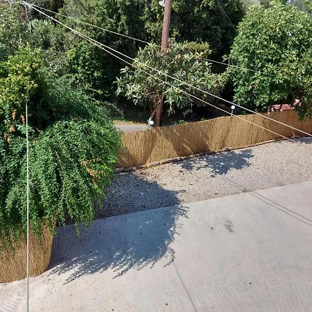 Niki Thalia Viros 2 Kastanéa